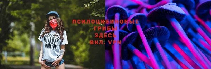 Псилоцибиновые грибы MAGIC MUSHROOMS  Подольск 